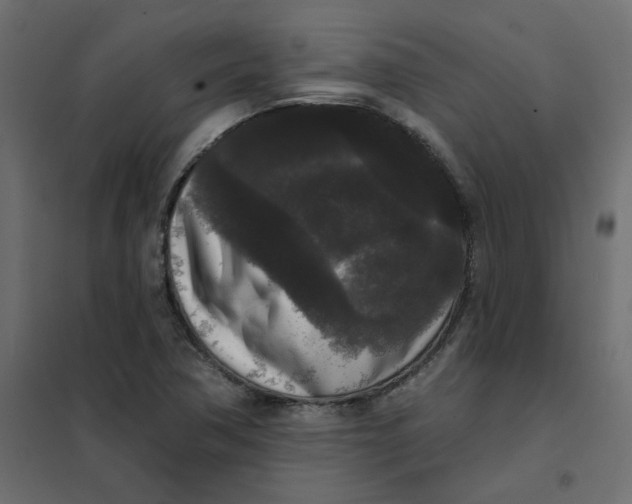 X0000102001362200808081650