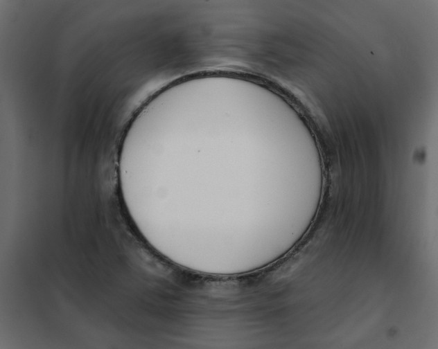 X0000102001363200808081650