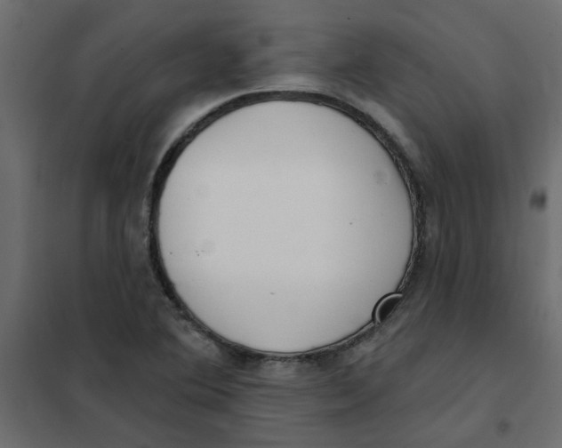 X0000102001364200808081650