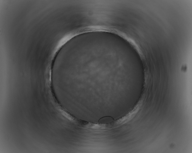 X0000102001365200808081650