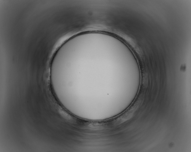 X0000102001366200808081650