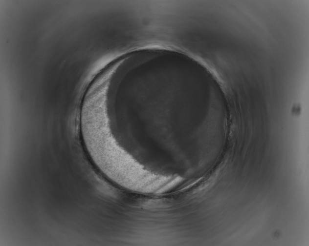 X0000102001367200808081650