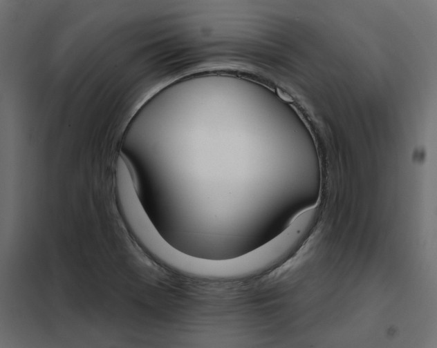 X0000102001369200808081650