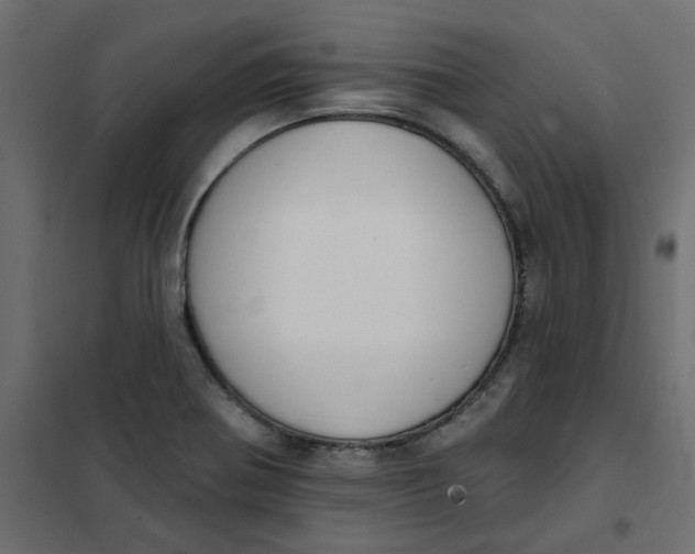 X0000102001370200808081650