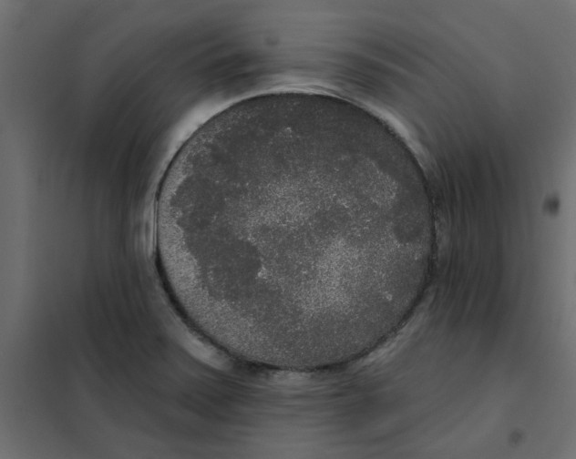 X0000102001371200808081650