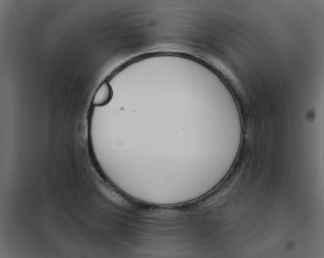 X0000102001372200808081650