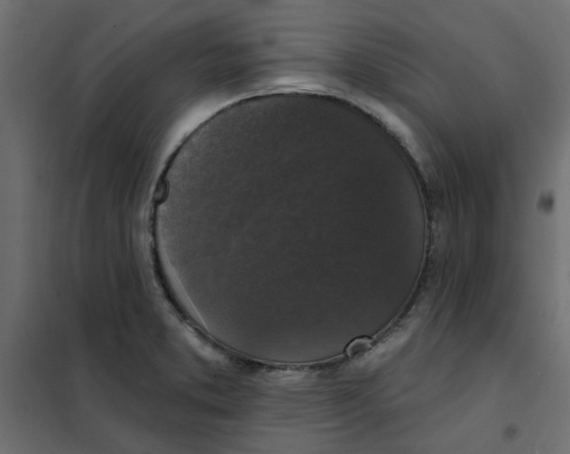 X0000102001373200808081650