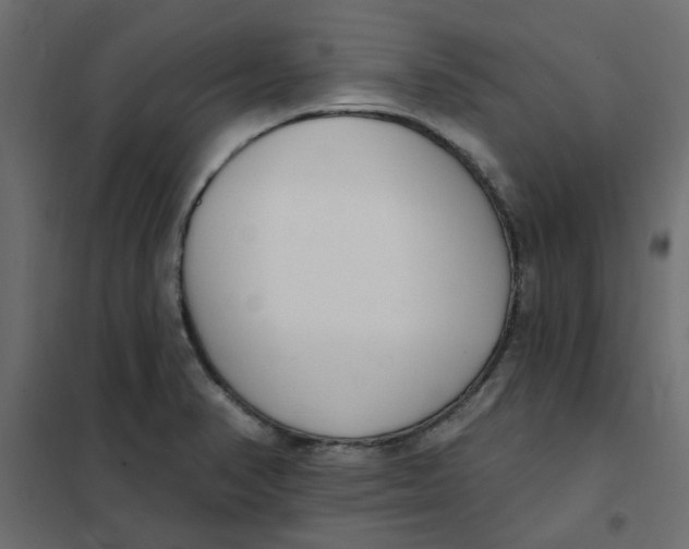 X0000102001374200808081650