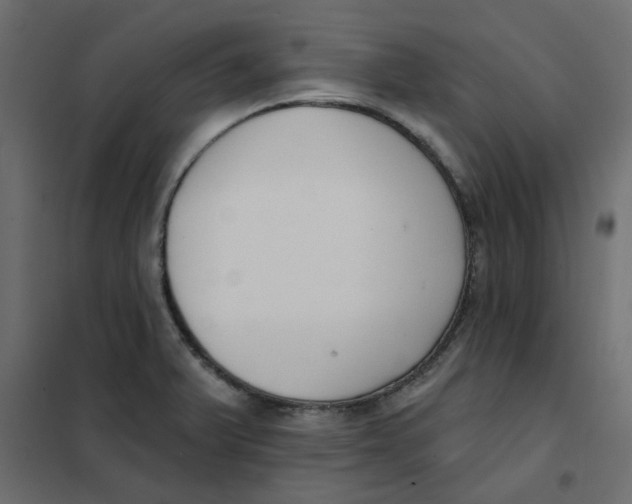 X0000102001375200808081650