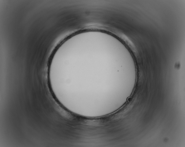 X0000102001376200808081650