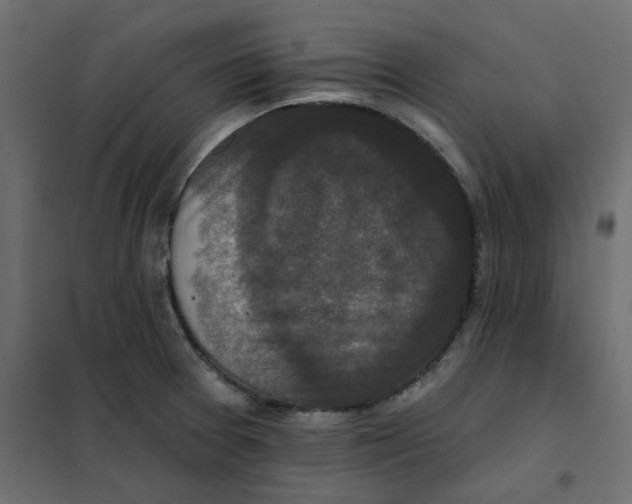 X0000102001377200808081650