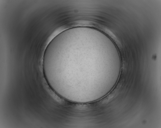 X0000102001378200808081650