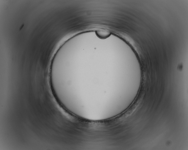 X0000102001379200808081650