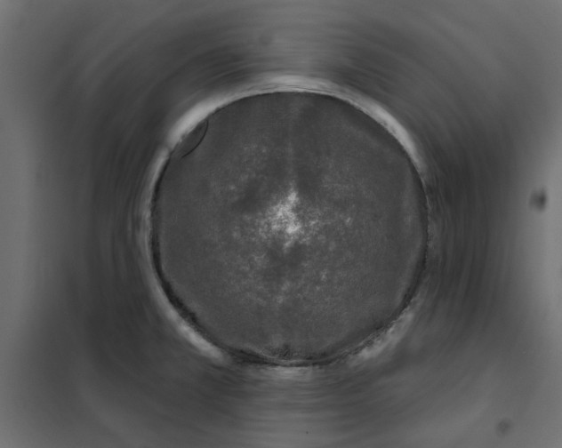 X0000102001381200808081650