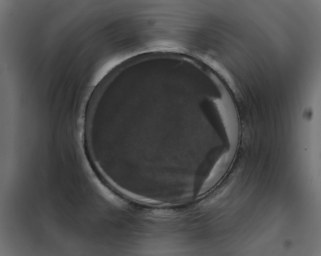 X0000102001383200808081650