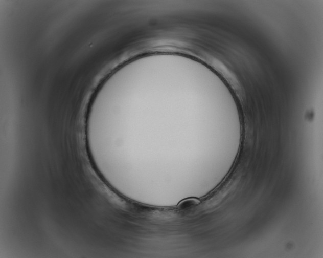 X0000102001384200808081649