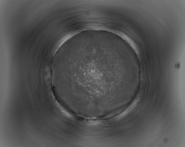 X0000102001385200808081649