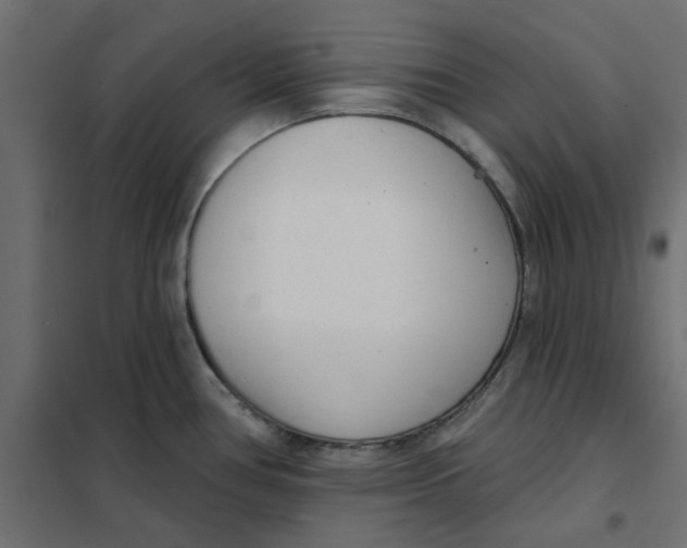 X0000102001386200808081649