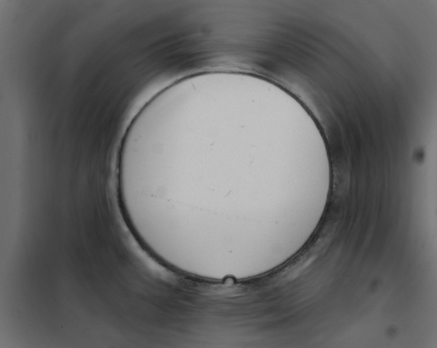 X0000102001387200808081649