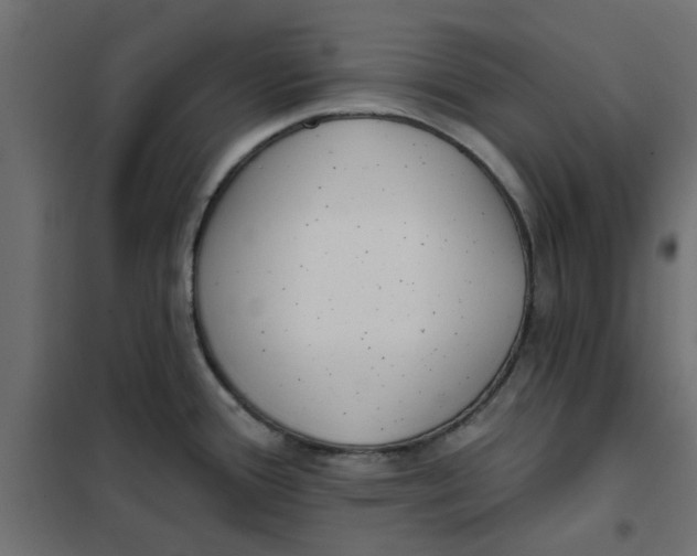 X0000102001388200808081649