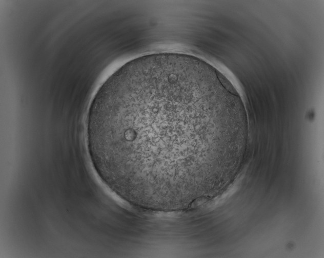 X0000102001389200808081649