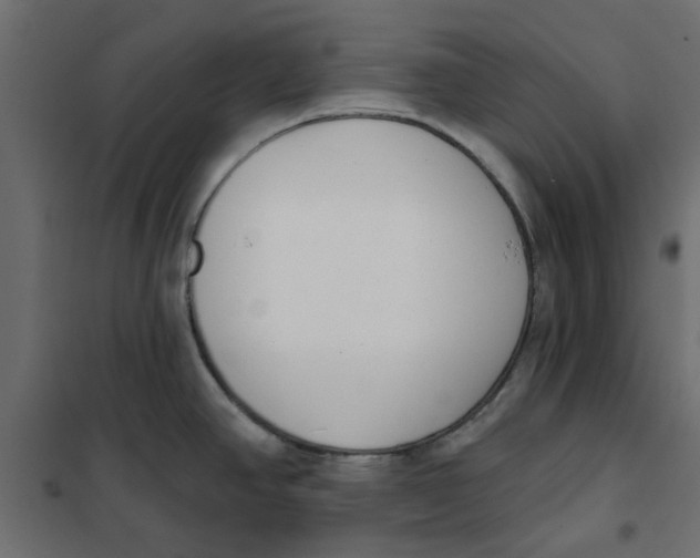 X0000102001390200808081649