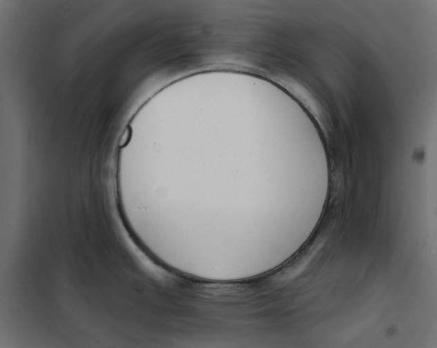 X0000102001391200808081649