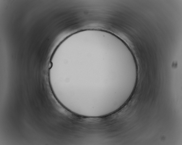 X0000102001392200808081649