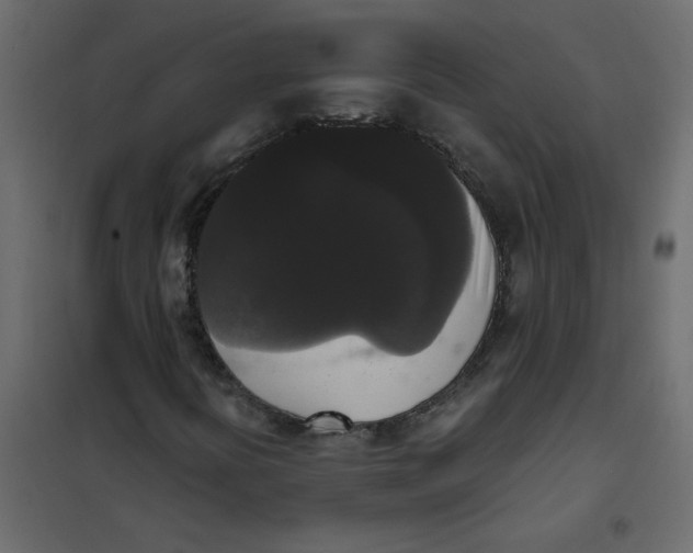 X0000102001394200808081649