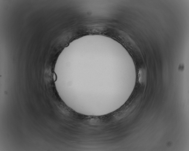 X0000102001395200808081649