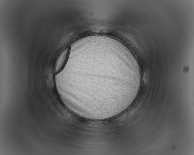 X0000102001396200808081649