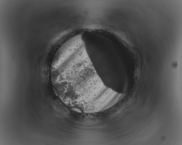 X0000102001398200808081649