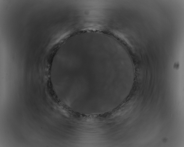 X0000102001399200808081649