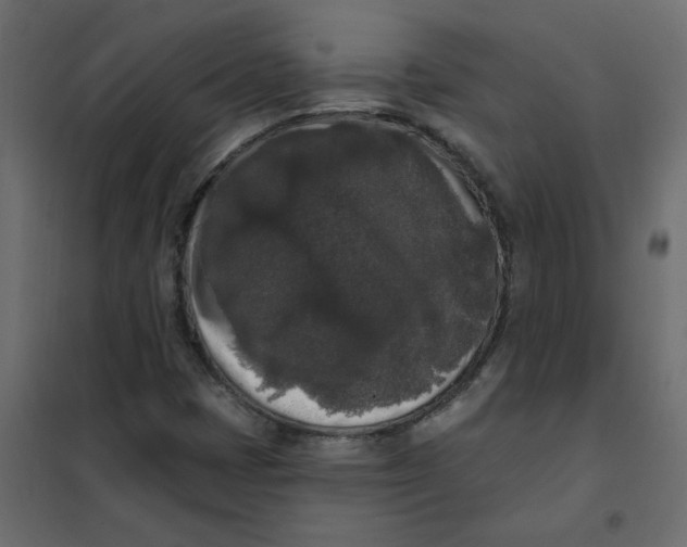 X0000102001401200808081649