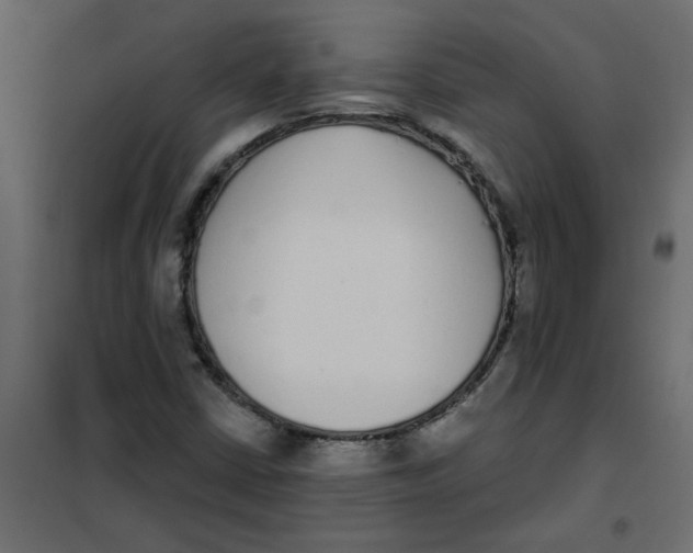 X0000102001402200808081649