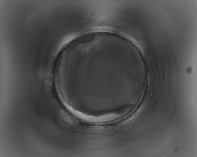 X0000102001405200808081649