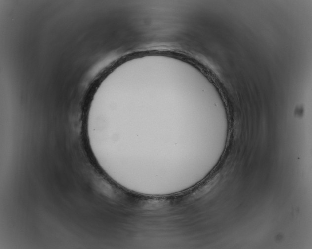 X0000102001406200808081649