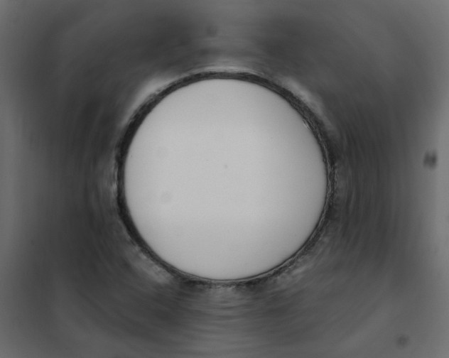 X0000102001408200808081649