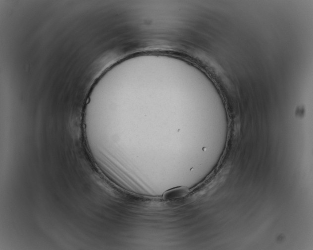 X0000102001409200808081649