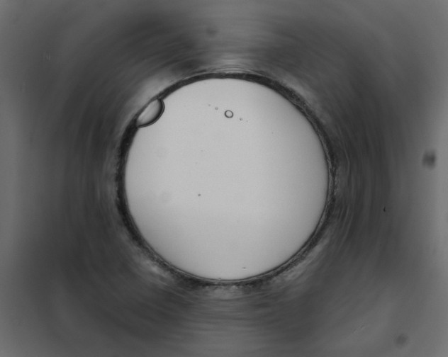 X0000102001410200808081649