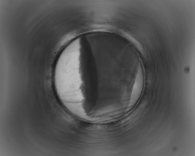 X0000102001411200808081649