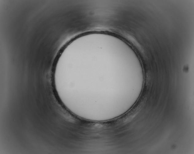 X0000102001412200808081649