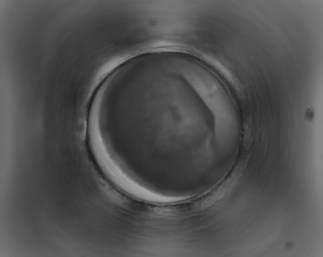 X0000102001413200808081649