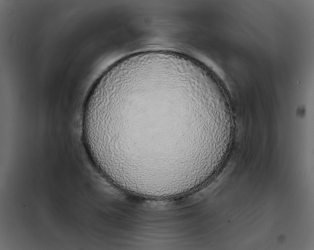 X0000102001415200808081649