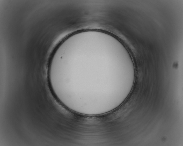 X0000102001416200808081649