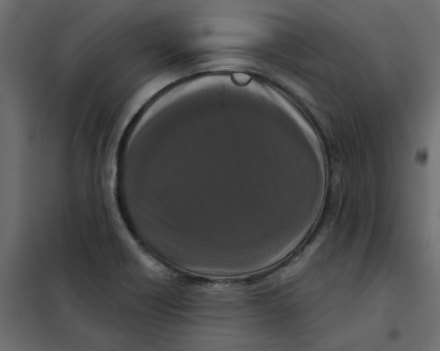 X0000102001418200808081649