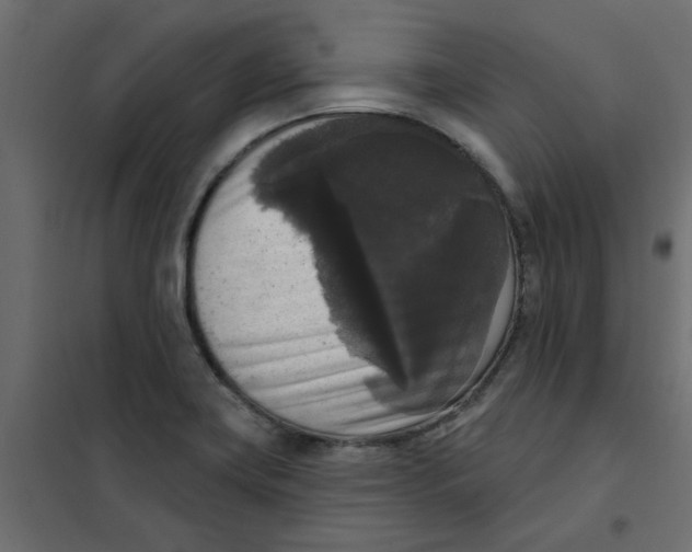 X0000102001419200808081649