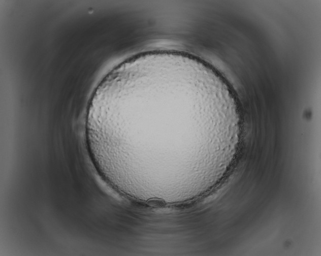 X0000102001421200808081649