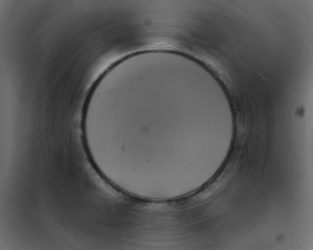 X0000102001422200808081649