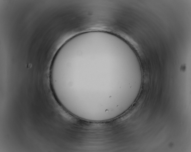 X0000102001423200808081649